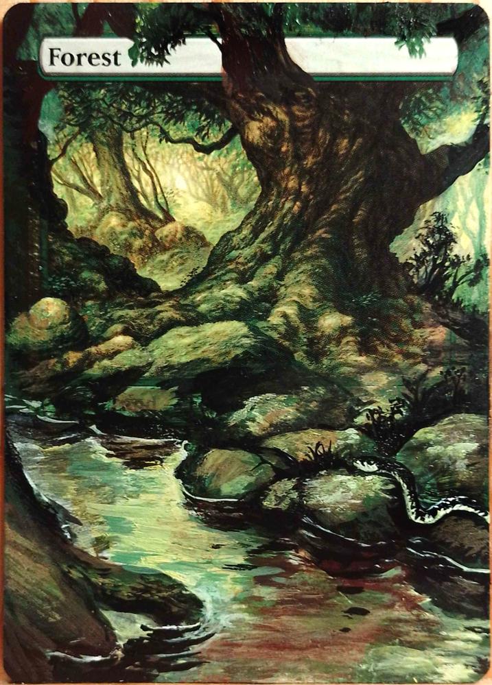 Forest full art